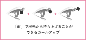 「面」で根元から持ち上げることができるカールアップ