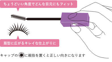 ちょうどいい角度でどんな目元にもフィット 扇型に広がるキレイな仕上がりに