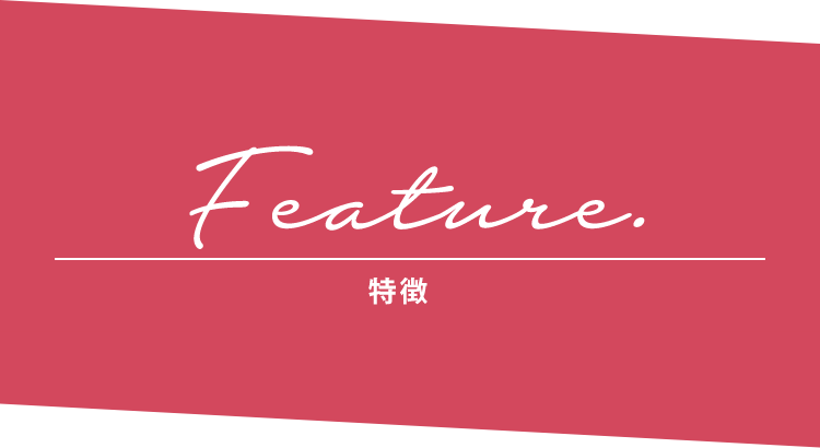 Feature 特徴