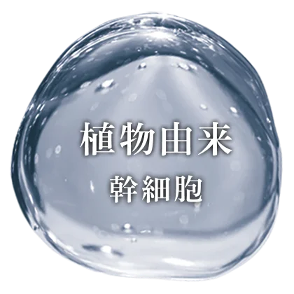 AXI 新商品 タイムコネクトエッセンスNKを発売しました。