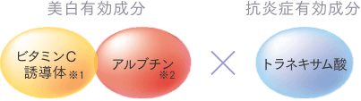 AXIヴィキアシリーズ