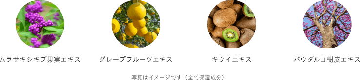 VCアクティベーターEXに関する図